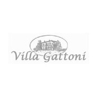 villagattoni
